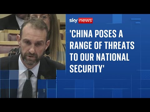 Deputy national security adviser’s statements brought China spying case to a ‘crashing halt’