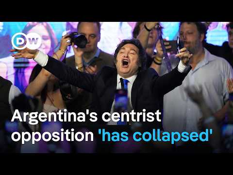 How economically sustainable are Milei’s austerity measures? | DW News