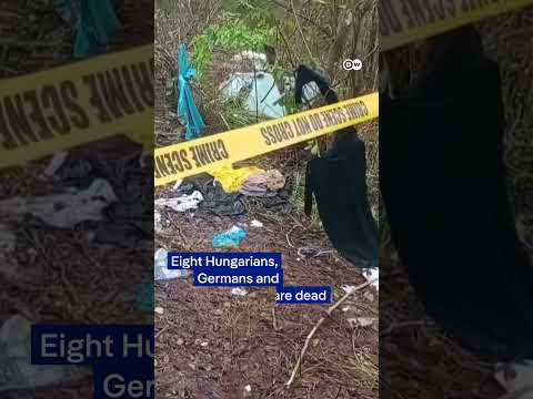 Aircraft crashes in Kenya, killing 11 onboard | DW News