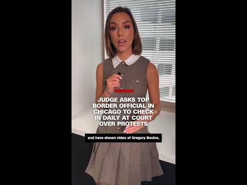Judge asks top border official in Chicago to check in daily at court over protests