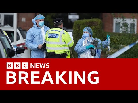 Afghan man charged with murder after dog walker killed in triple stabbing in London | BBC News