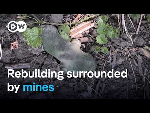 Living with deadly landmine dangers in Ukraine’s liberated territories | DW News