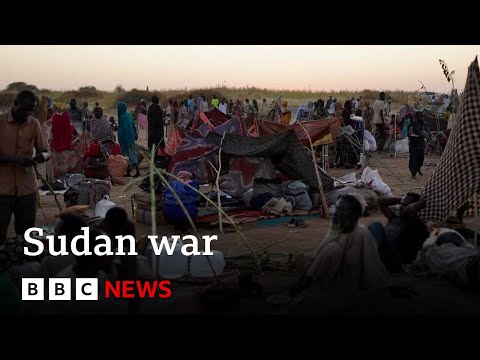 Hundreds killed at hospital in Sudan, El-Fahser | BBC News