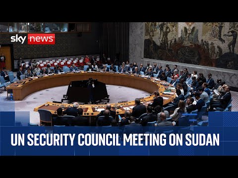 UN Security Council meeting on situation in Sudan