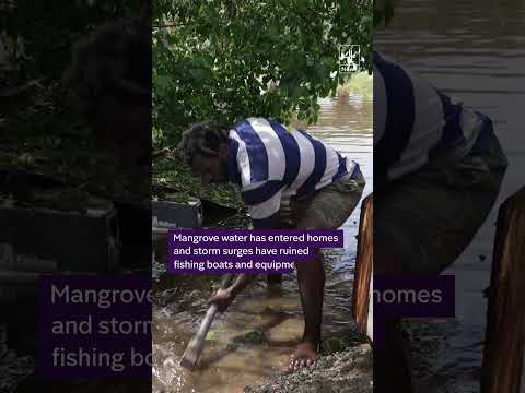 Jamaicans inspect damage after Melissa