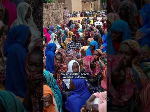 Social media clips show RSF atrocities in Darfur | DW News