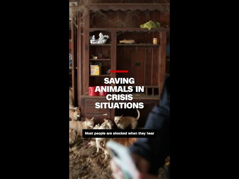 Saving animals in crisis situations