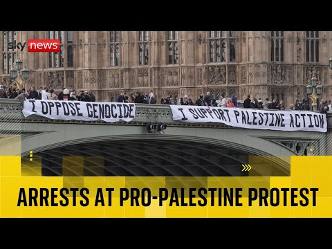 Several arrested at pro-Palestine protest in London