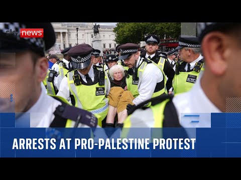 More than 400 arrested in London as pro-Palestine protest goes ahead despite pleas