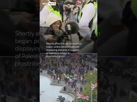 Arrests at Pro Palestine protests