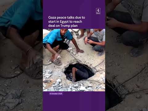 Gaza peace talks to begin in Egypt