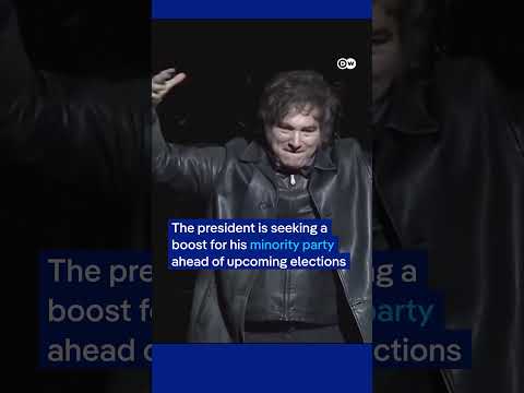 Argentine President Javier Milei turns book launches into rock concert | DW News