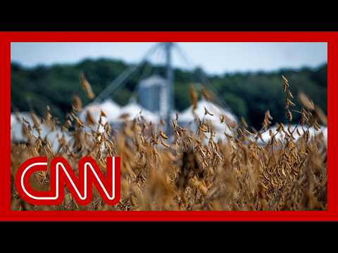 Soybean farmer on Trump’s tariff war: ‘I mean, where do they want me to market this stuff?’