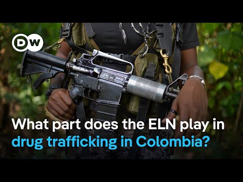 ELN plays key role in Colombia’s cocaine economy  | DW News