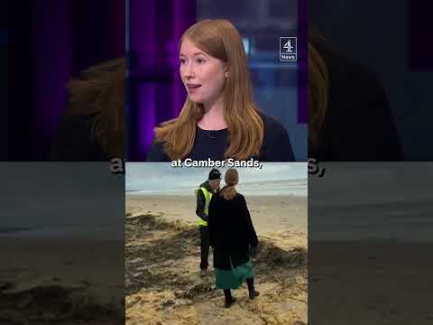 ‘Environmental catastrophe’ on Camber Sands beach