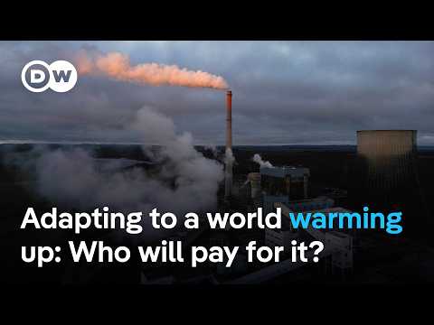 ‘The transition away from fossil fuels and adaptation’ to dominate COP30 agenda – analyst | DW News