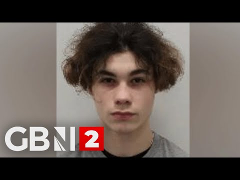 WATCH: Areece Lloyd-Hall is sentenced at the Old Bailey for the murder of 16-year-old Harry Pitman