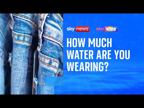 FYI: How much water is used to make everyday clothing?