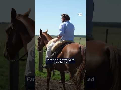 Uruguay’s energy miracle | DW News