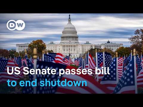 How severely has the shutdown affected the American people and the broader economy? | DW News