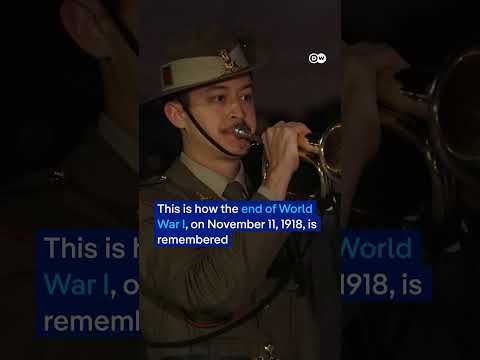 Sydney Opera House pays tribute to war dead | DW News