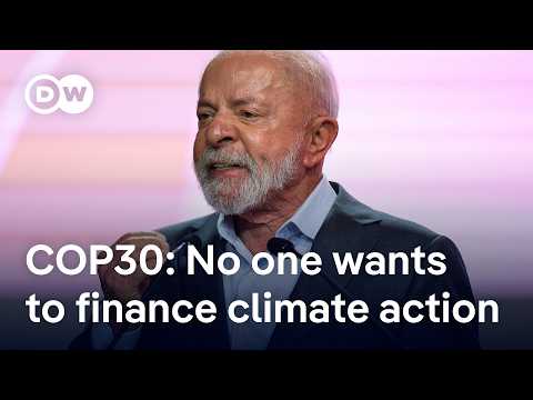 COP30 in Brazil: What would fairness in climate funding actually look like? | DW News