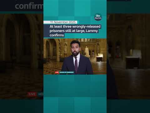 At least three wrongly-released prisoners still at large, Lammy confirms
