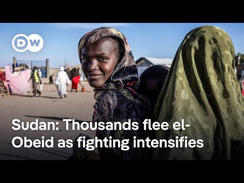Is Chad able to cope with influx of refugees from Sudan? | DW News