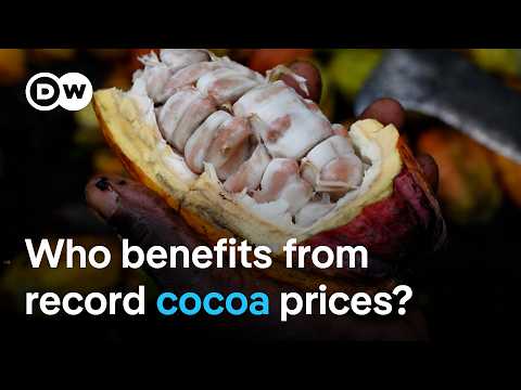 Why cocoa farmers don’t profit from record prices for chocolate | DW News