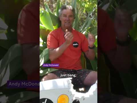 This is the moment a windsurfer survived a shark attack in Western Australia