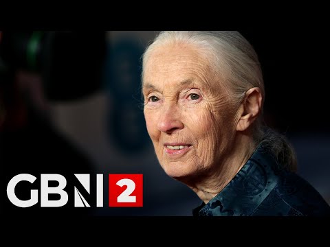 WATCH: Jane Goodall’s funeral service broadcast from Washington D.C.
