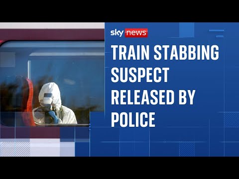 British man remains in custody after mass stabbing attack on train