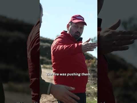 ‘When I die, I want to be here’