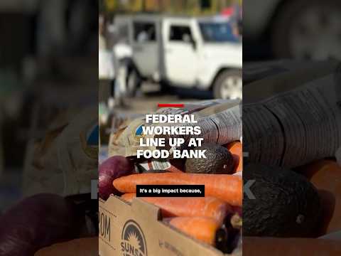 ‘We have to choose to feed ourselves or pay the bills’: Federal workers line up at food bank
