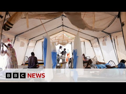 UN to investigate reported mass killings in Sudan | BBC News