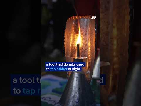 Indigenous protesters block COP30 climate summit in Brazil | DW News