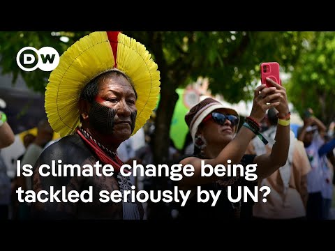 Are climate protesters having any affect on UN climate talks in Brazil? | DW News