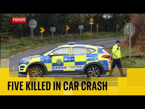 Three men and two women in their 20s have died in car crash in Co Louth, Irish police say