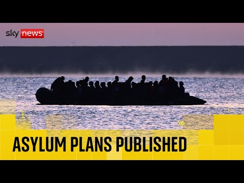 Asylum reforms released in full – as Starmer warns of ‘severe strain’