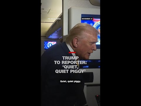 Trump snaps at reporter’s Epstein questions: ‘Quiet, piggy’