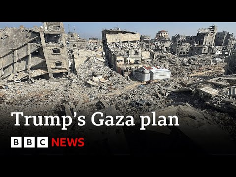 Donald Trump’s plan for Gaza backed by UN Security Council | BBC News