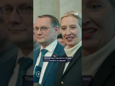 Russia rift rocks Germany’s AfD | DW News