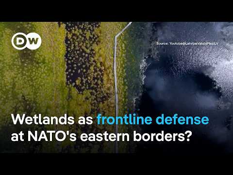 How do Latvia’s peatlands fit into NATO’s frontline defense strategy? | DW News