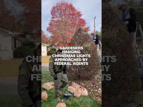 Gardeners hanging Christmas lights approached by federal agents
