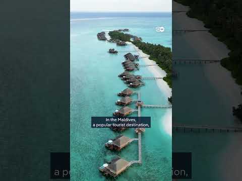 Countries push for new flight tax at COP30 | DW News