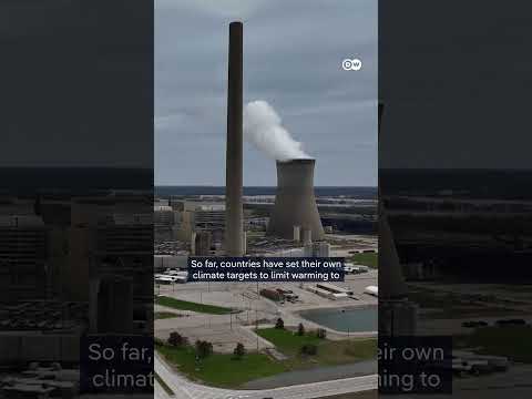 COP30: 80+ countries demand fossil fuel phaseout | DW News