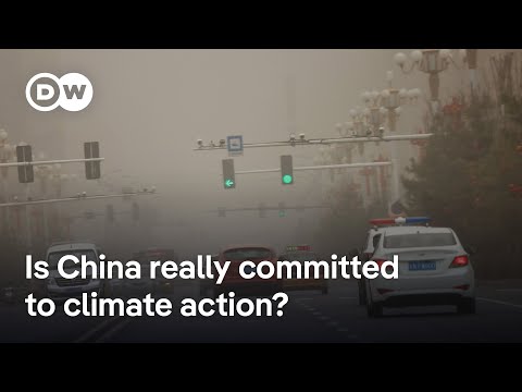 How China has taken the world’s attention off the US at COP30 | DW News
