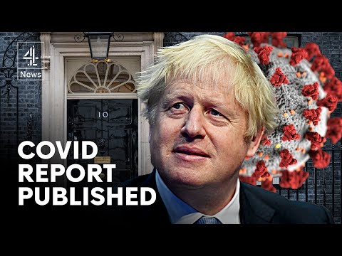 Failures laid bare as Covid report published