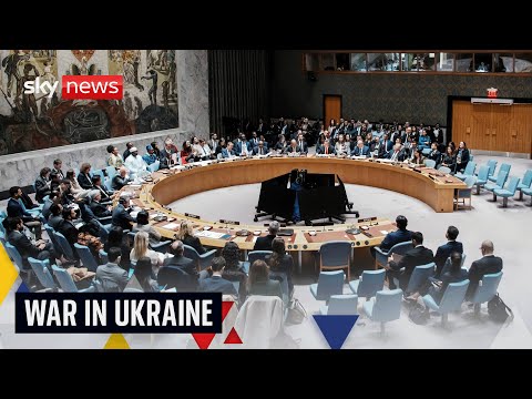 UN Security Council meeting on Russia-Ukraine – as Kyiv receives proposal to end war