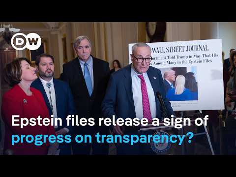 How will the release of the Epstein files affect survivors and public trust? | DW News